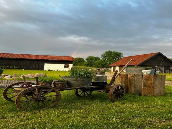 Warsztaty Joga Warmia-Mazury