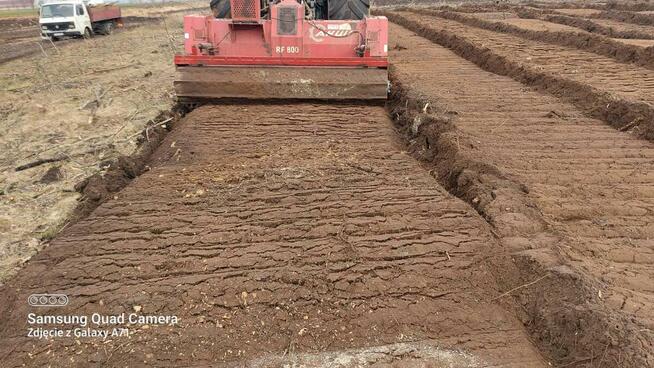 Mulczowania wgłębne i powierzniowe Wycinka drzew