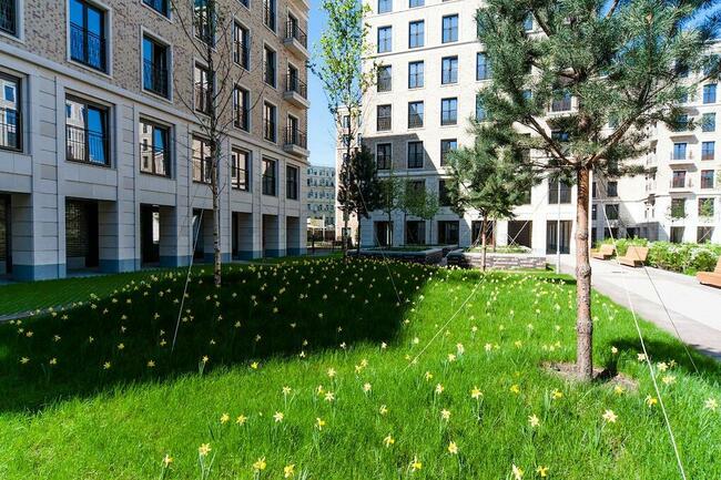 Usługi ogrodnicze. Pielęgnacja ogrodów. Nawodnienia