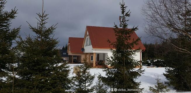 Dzika Konwalia - Domki całoroczne koło Zieleńca
