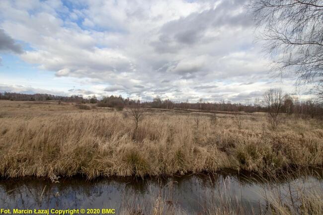 Działka budowlana Zawisna gm. Kamienica Polska,