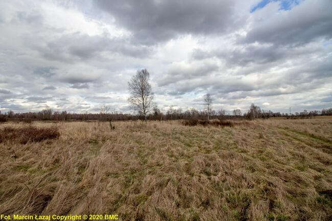 Działka budowlana Zawisna gm. Kamienica Polska,