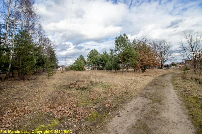 Działka budowlana Zawisna gm. Kamienica Polska,