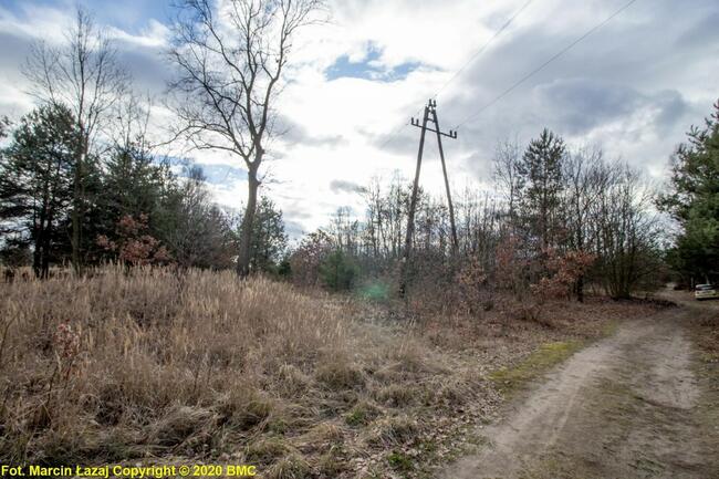 Działka budowlana Zawisna gm. Kamienica Polska,