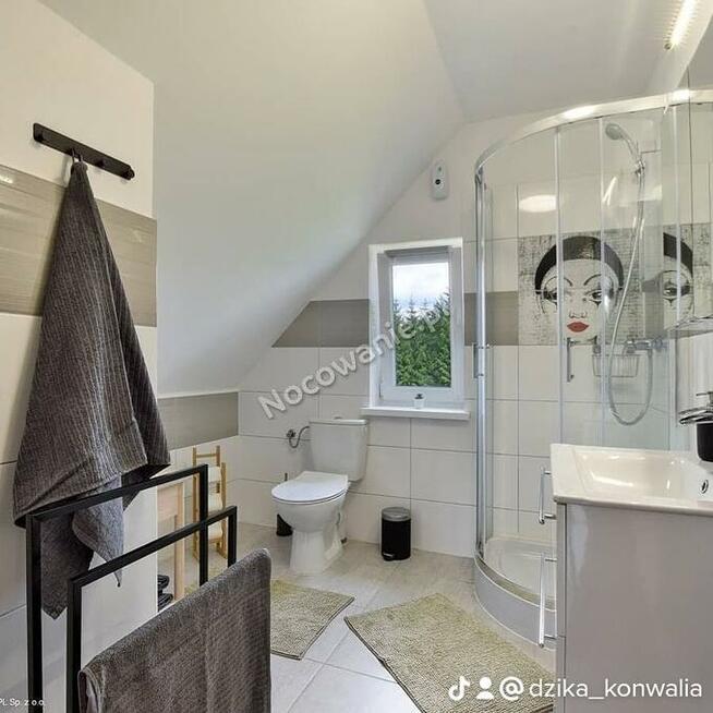 Dzika Konwalia - Domki całoroczne koło Zieleńca