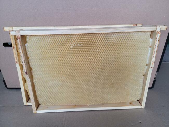 susz pszczeli -ramki wielkopolskie hoffmanowskie odbudowane