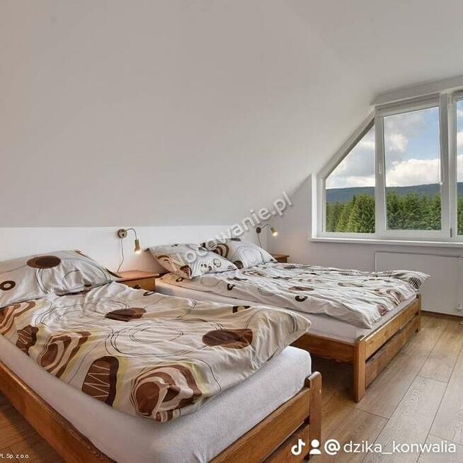 Dzika Konwalia - Domki całoroczne koło Zieleńca