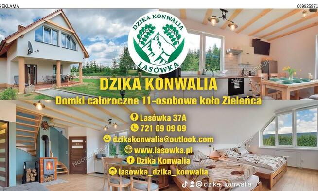 Dzika Konwalia - Domki całoroczne koło Zieleńca