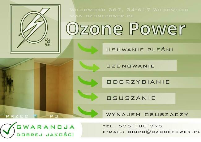 usuwanie pleśni, odgrzybianie