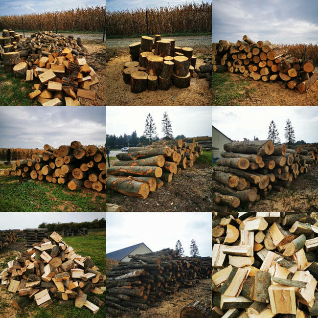 Drewno Do Wędzenia Palenia Opałowe Kominkowe Na OGNISKO BUK