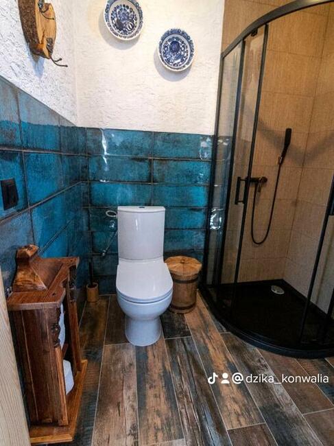 Mieciówka - całoroczne domki koło Zieleńca