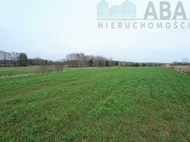 Dziełka rolna w atrakcyjnej cenie - Międzylesie obok Turku