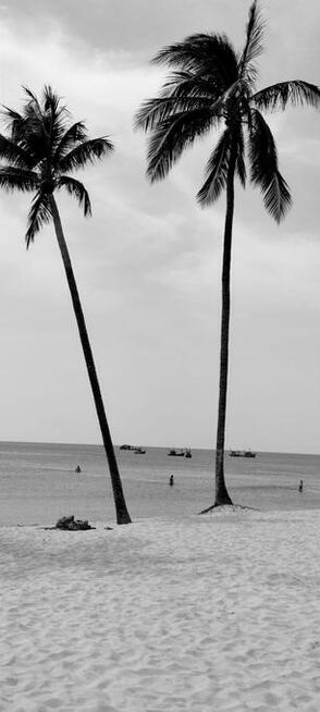 Dla Studentów!!!!!!!!!!!