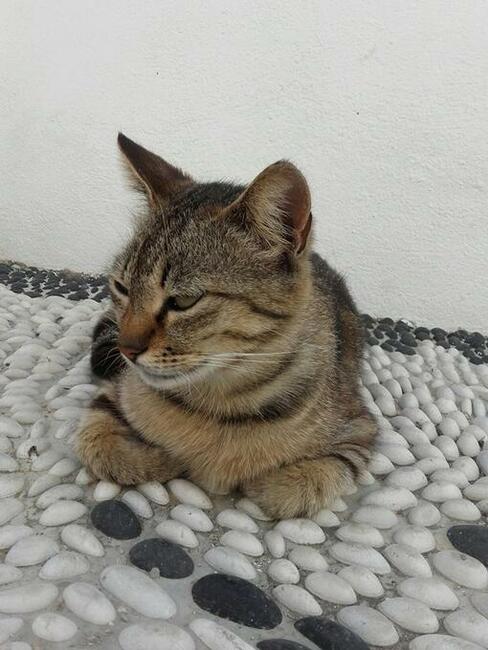 Tanie bilety autokarowe