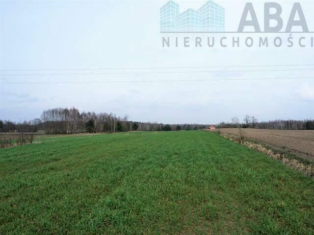 Dziełka rolna w atrakcyjnej cenie - Międzylesie obok Turku