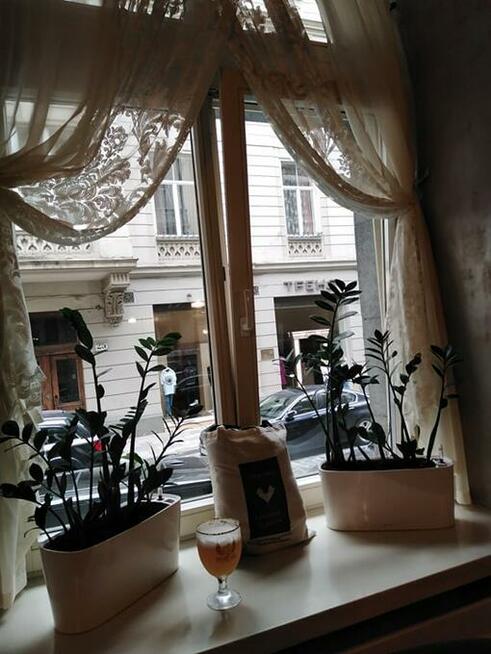 WYCIECZKI INTEGRACYJNE DLA GRUP