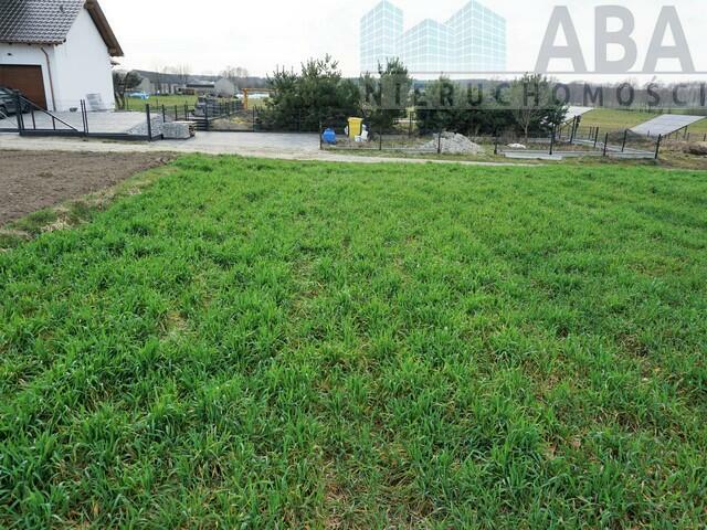 Dziełka rolna w atrakcyjnej cenie - Międzylesie obok Turku