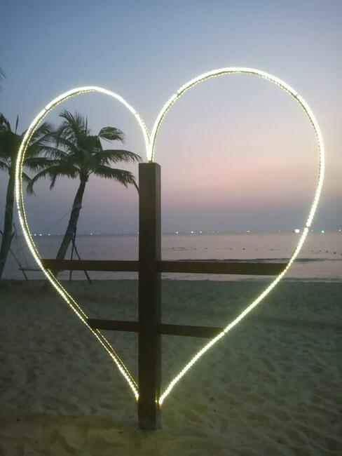 Dla Studentów!!!!!!!!!!!