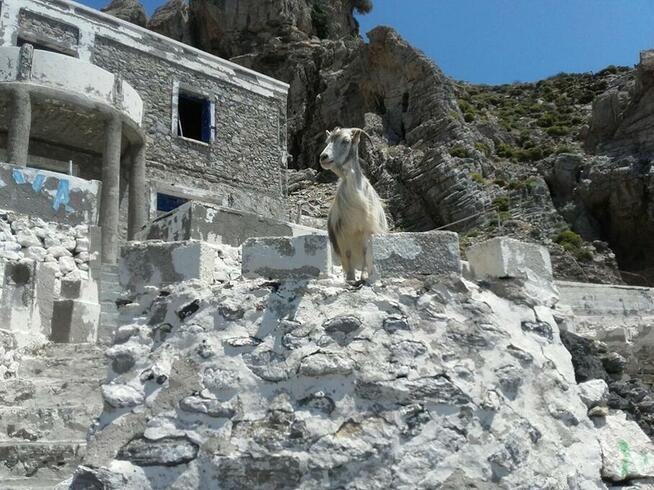 Podróże w dobrym stylu