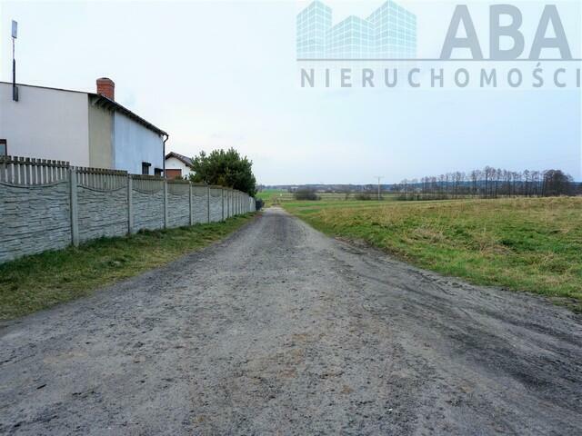 Dziełka rolna w atrakcyjnej cenie - Międzylesie obok Turku