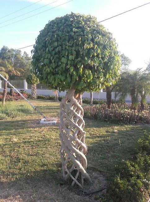 Tanie bilety autokarowe