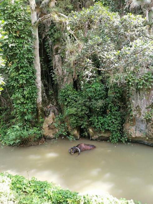 WYCIECZKI INTEGRACYJNE DLA GRUP