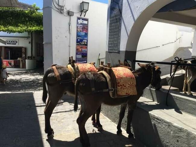 Dla Studentów!!!!!!!!!!!