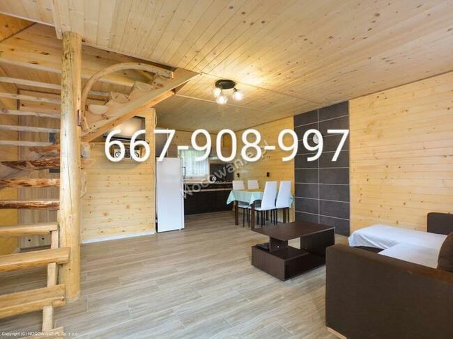 Bieszczady Misiowe domki