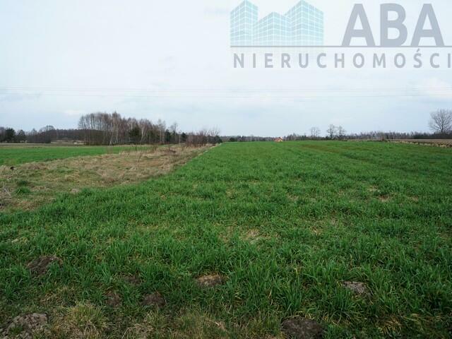 Dziełka rolna w atrakcyjnej cenie - Międzylesie obok Turku