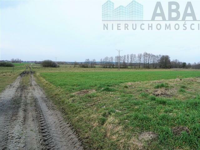 Dziełka rolna w atrakcyjnej cenie - Międzylesie obok Turku