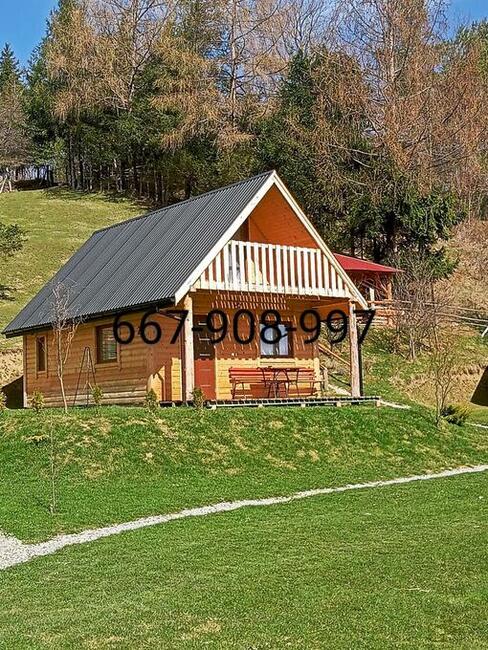 Bieszczady Misiowe domki