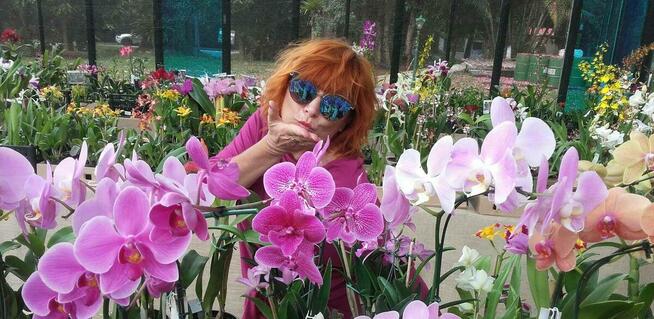 WCZASY NA KAŻDĄ KIESZEŃ