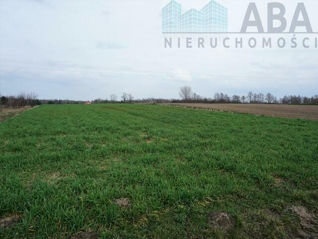 Dziełka rolna w atrakcyjnej cenie - Międzylesie obok Turku