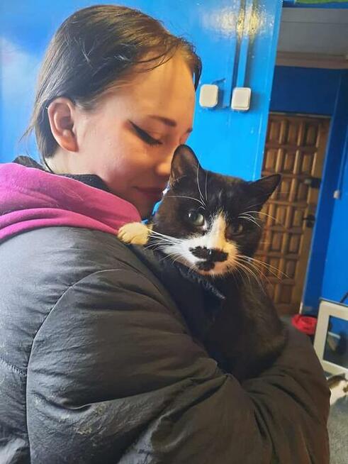 Jacuś - mruczasty, niezwykle przyjazny kotek szuka domu!