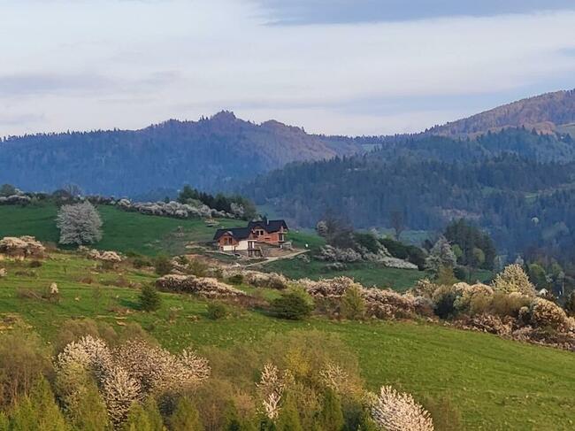 Działka rolna w Szczawnicy