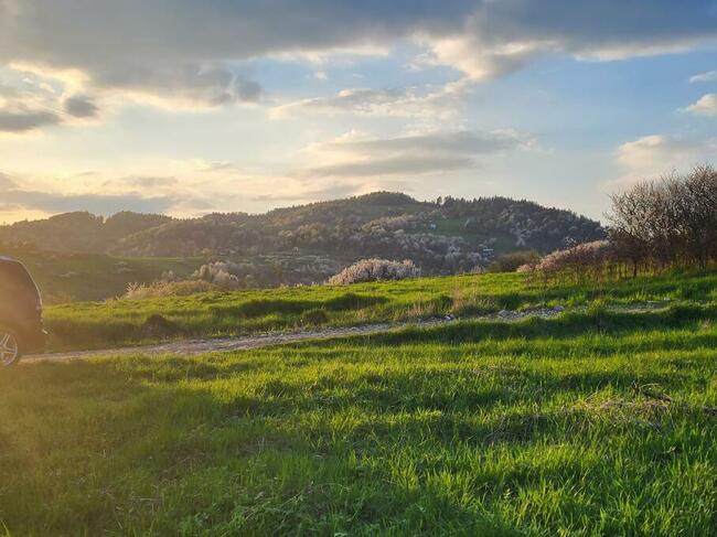 Działka rolna w Szczawnicy