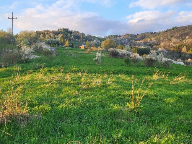 Działka rolna w Szczawnicy