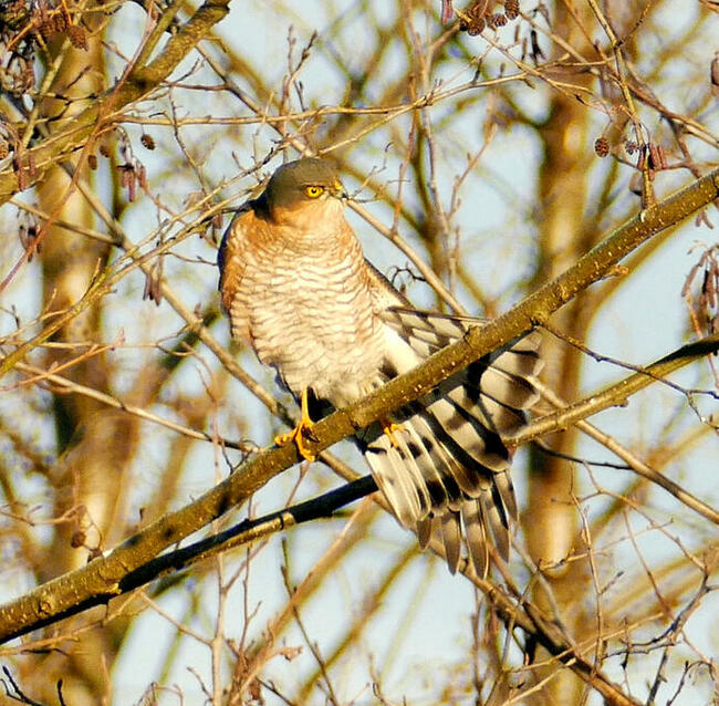 Spieszmy się kochać ludzi, tak szybko odchodzą...