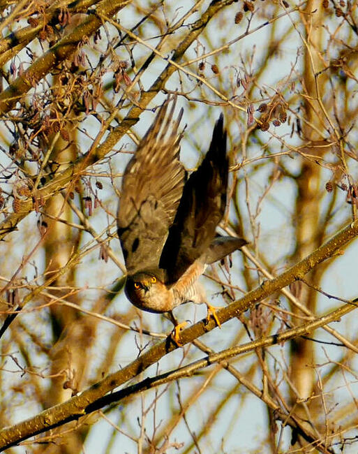 Spieszmy się kochać ludzi, tak szybko odchodzą...
