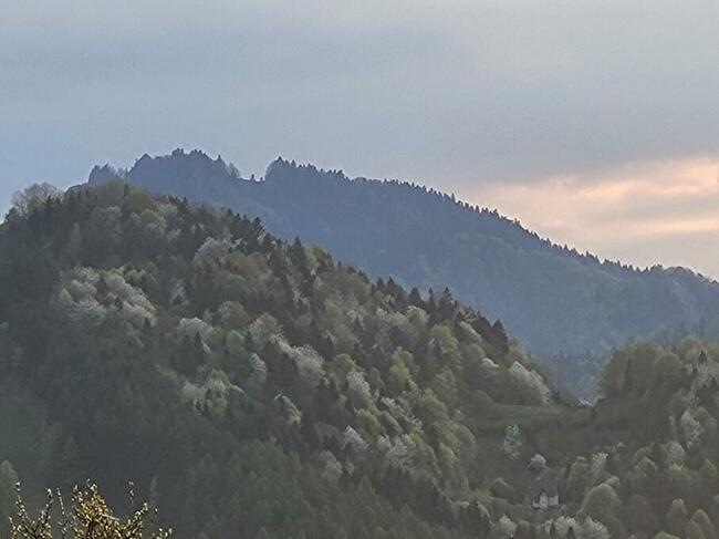 Działka rolna w Szczawnicy