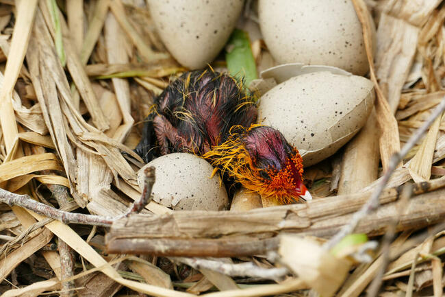 Spieszmy się kochać ludzi, tak szybko odchodzą...