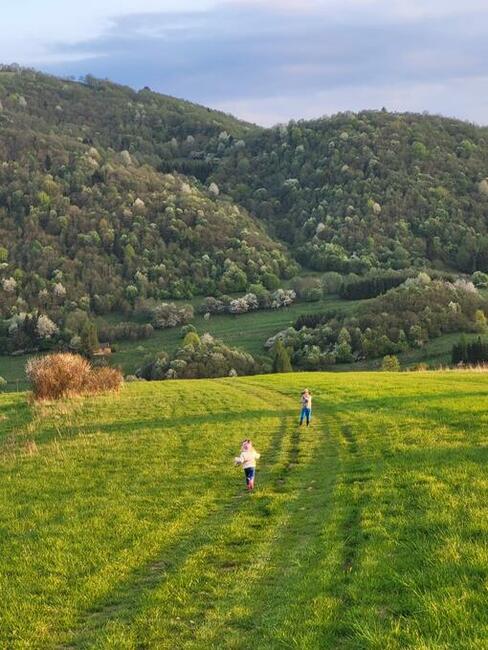 Działka rolna w Szczawnicy