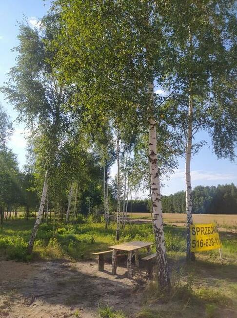 Działka budowlana 1000 m enklawa ciszy, bogata przyrodq