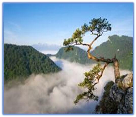 Pokoje u Jakuba Krościenko - noclegi Pieniny