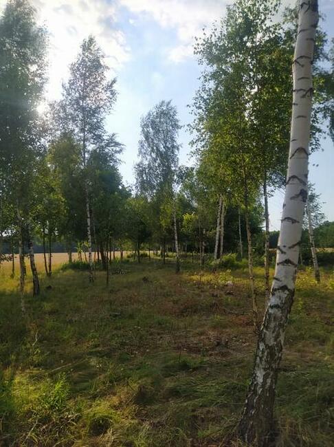 Działka budowlana 1000 m enklawa ciszy, bogata przyrodq