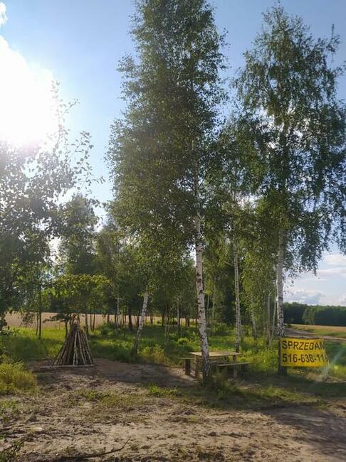 Działka budowlana 1000 m enklawa ciszy, bogata przyrodq