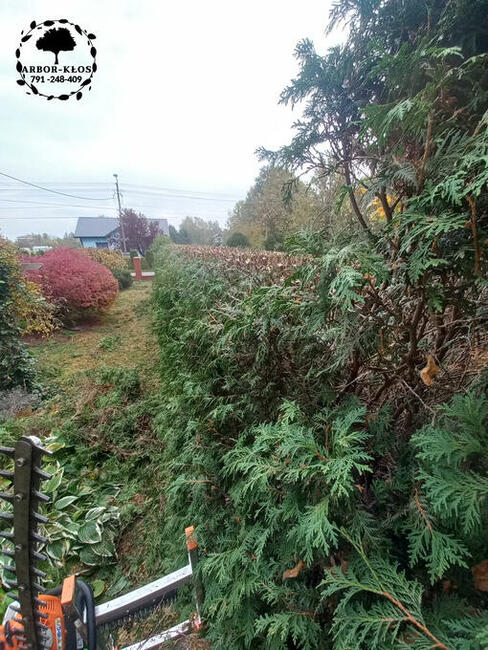 Wycinka drzew Usługi ogrodnicze Frezowanie pni