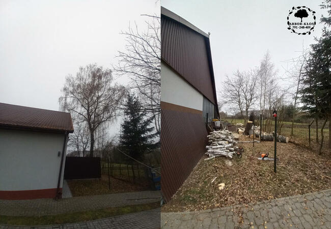 Wycinka drzew Usługi ogrodnicze Frezowanie pni