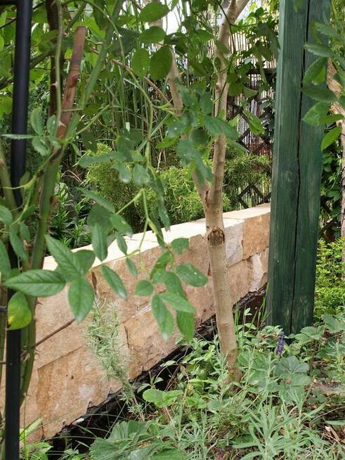 Murak kamień murowy cięty łupany 20x20x40 cm piaskowiec