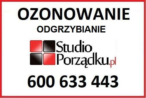 Wynajem ozonatora Kraków – KORONA – 20000Mg/h